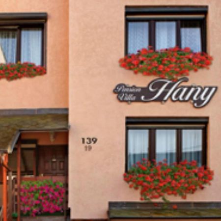 Pension Villa Hany Mariánské Lázně Exterior foto