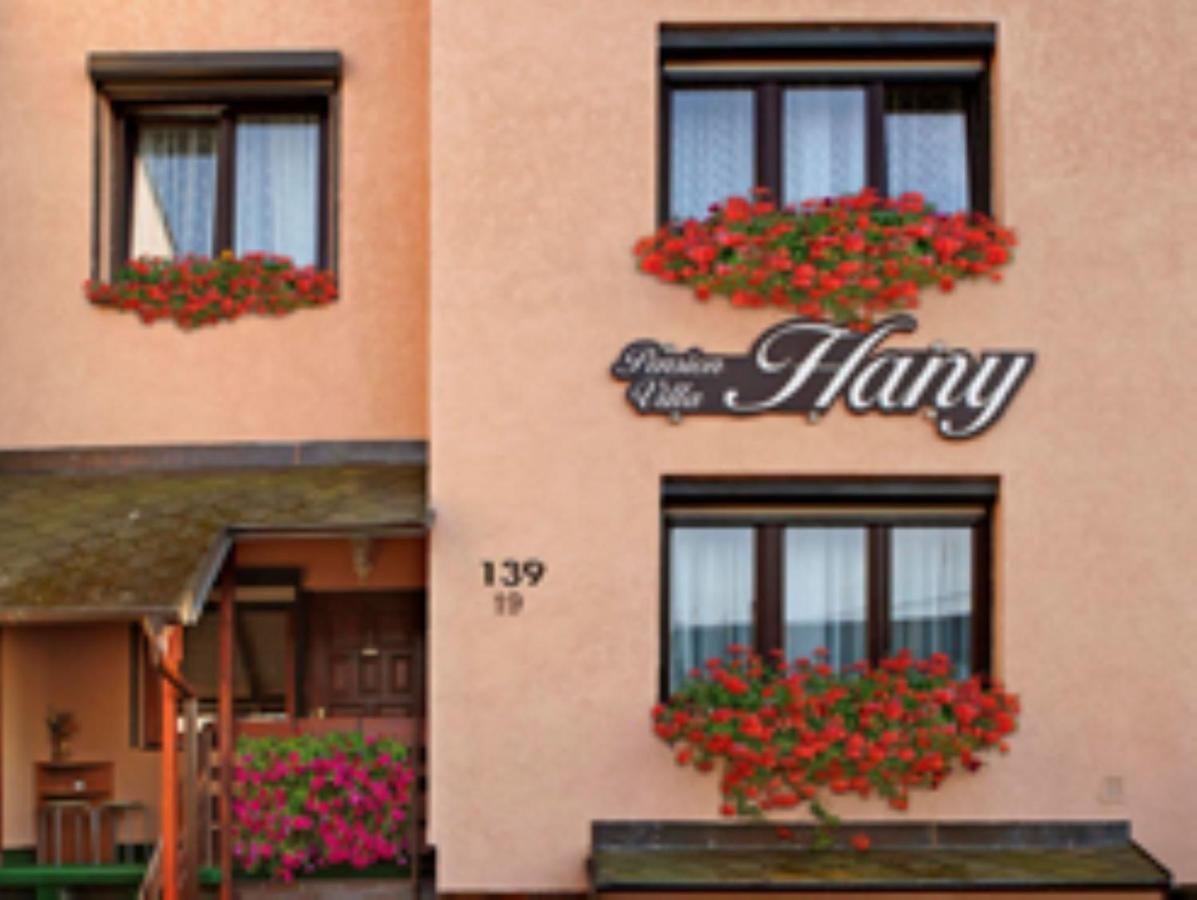 Pension Villa Hany Mariánské Lázně Exterior foto