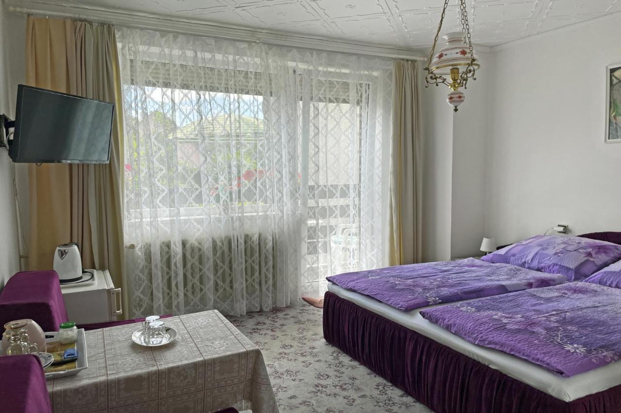 Pension Villa Hany Mariánské Lázně Exterior foto