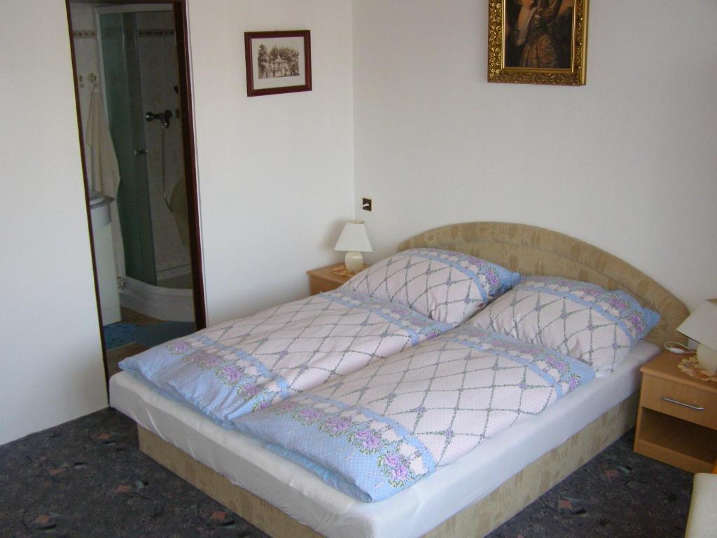 Pension Villa Hany Mariánské Lázně Cameră foto